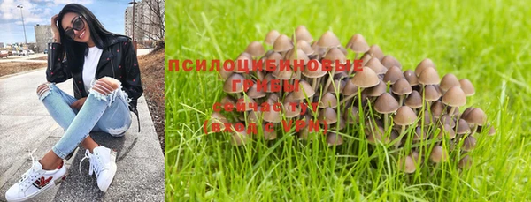мяу мяу мука Белоозёрский